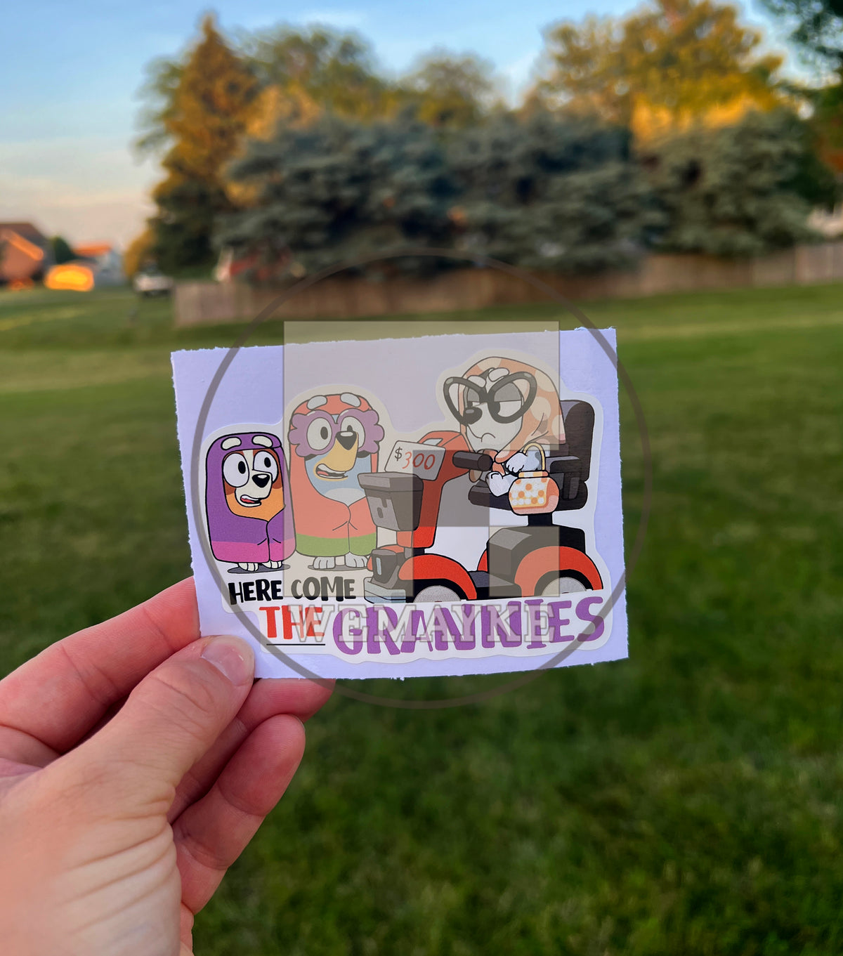 (B19) Here come the Grannies - Dog Family Decal / Sticker
