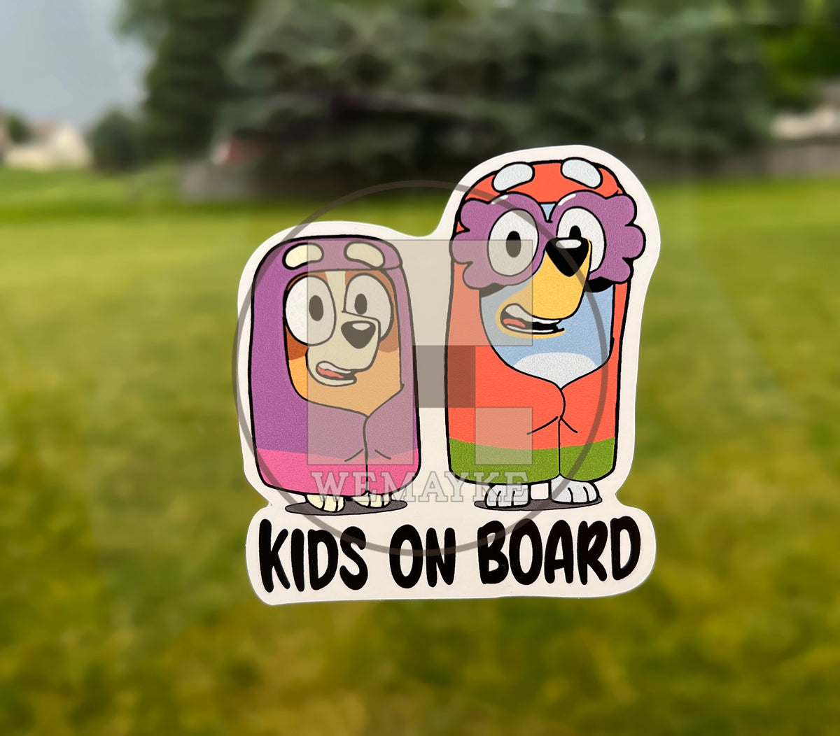 Kid on Board