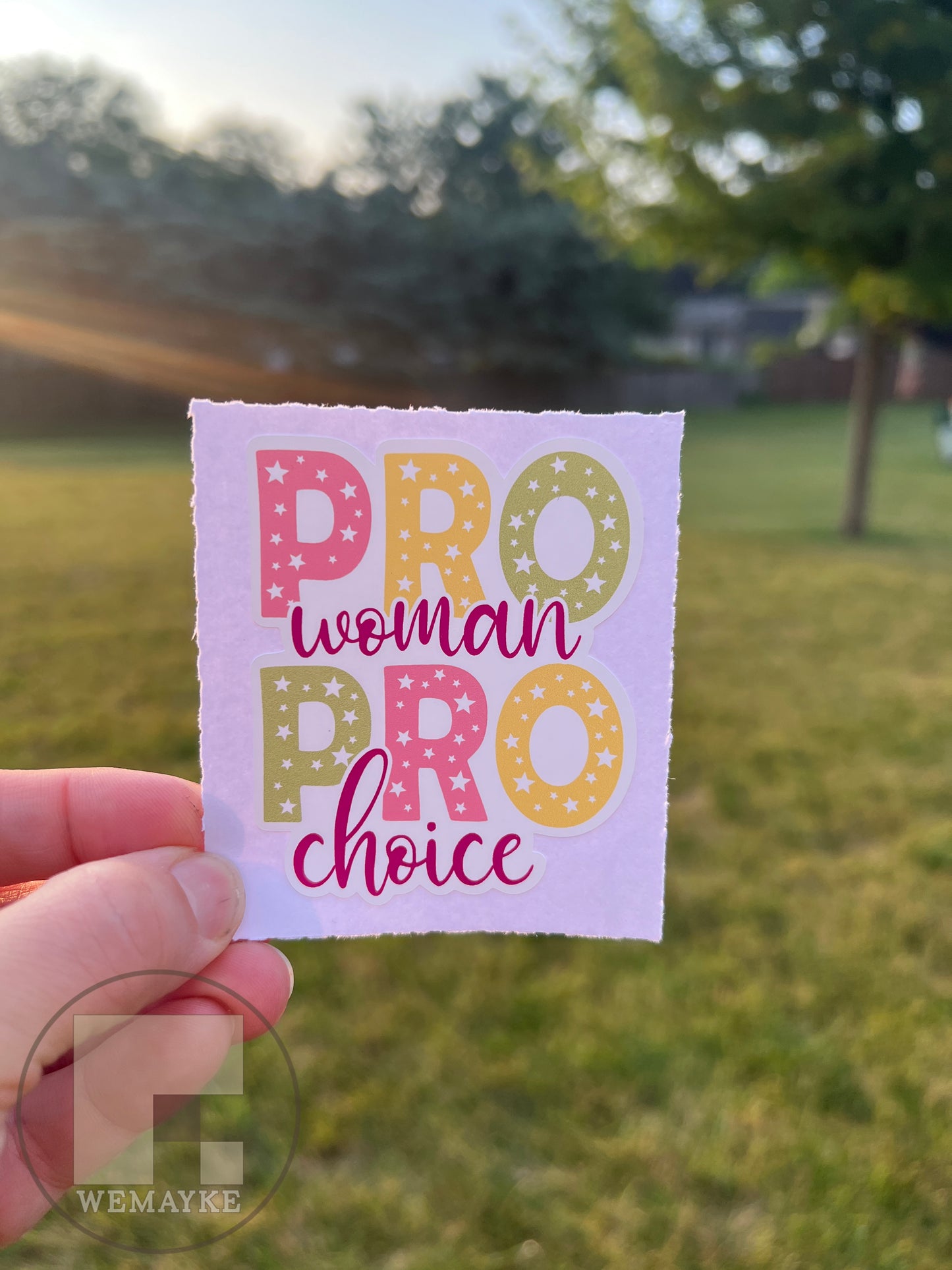 (S50) Pro Women Pro Choice - Decal / Sticker