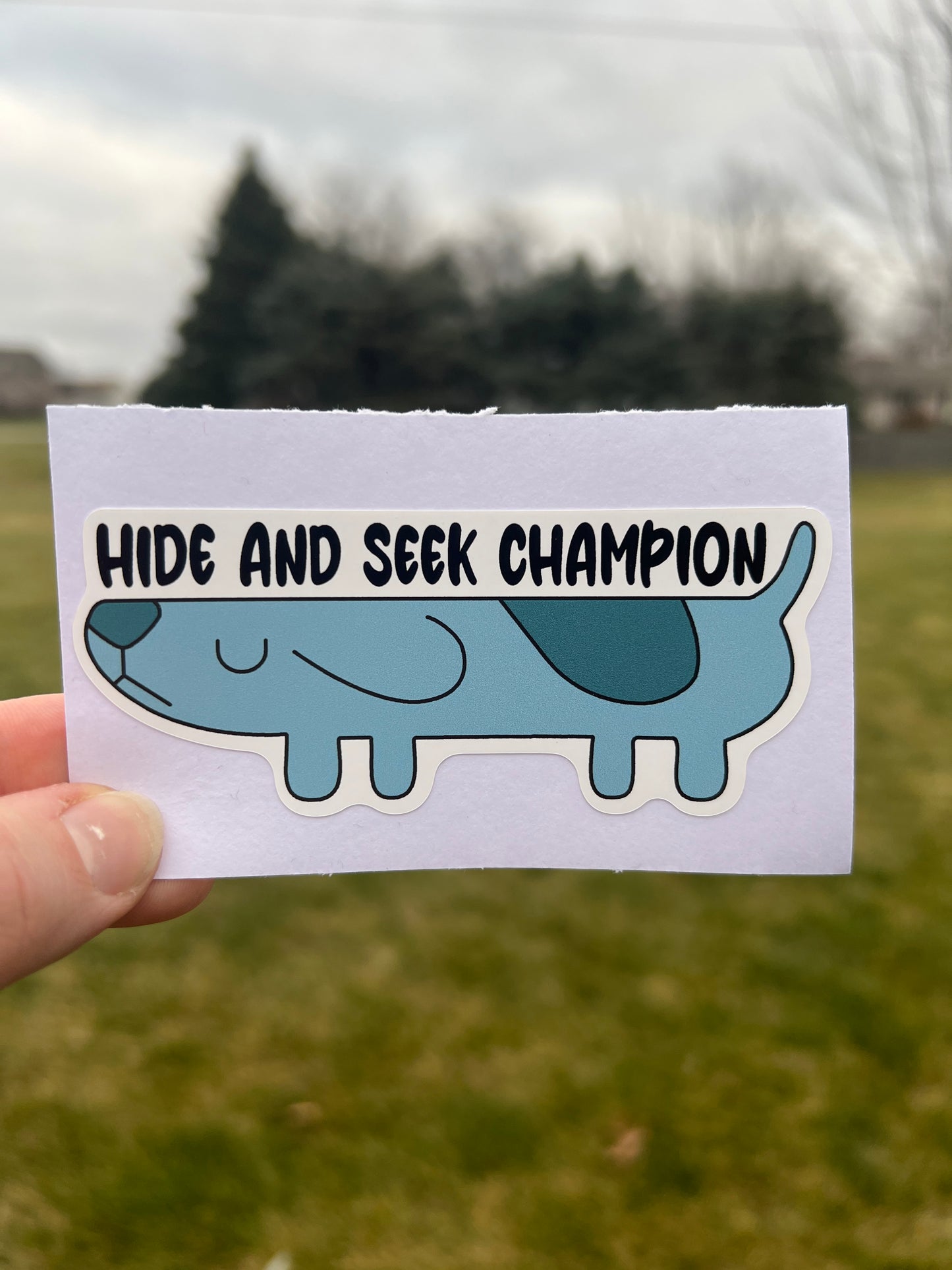 (B76) Hide and Seek Champion - Dog Family Decal / Sticker