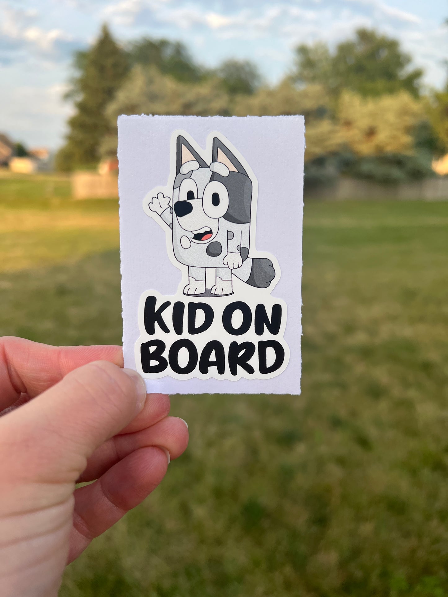 (B1) Kid on Board - Dog Family Decal / Sticker